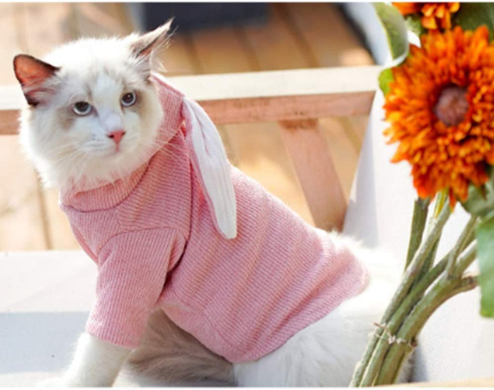 ANIAC Dog Hoodies Sweatshirt with Bunny Ears Spring Puppy Clothes for Small Dog Girl Boy Soft Doggy Sweater Cat Apparel Pet Clothing for Kitten Pomeranian Chihuahua (Small, Pink)