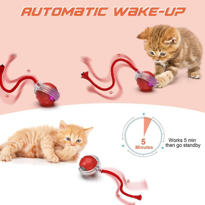 Interactive Rolling Cat Toys Ball for Indoor Cats Chirping & Motion Activate Cat Toys Pet Smart Interactive Electric Automatic Exercise Toy Wand