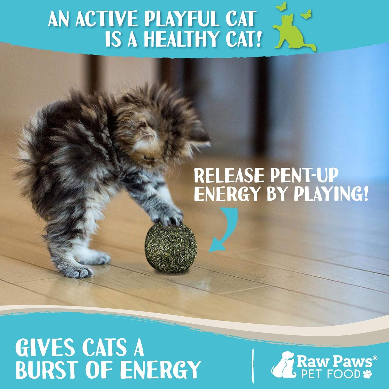 Catnip Balls for Cats, (6-Count) - Interactive Cat Toy for Indoor Cats - Cat Nip Licking Balls