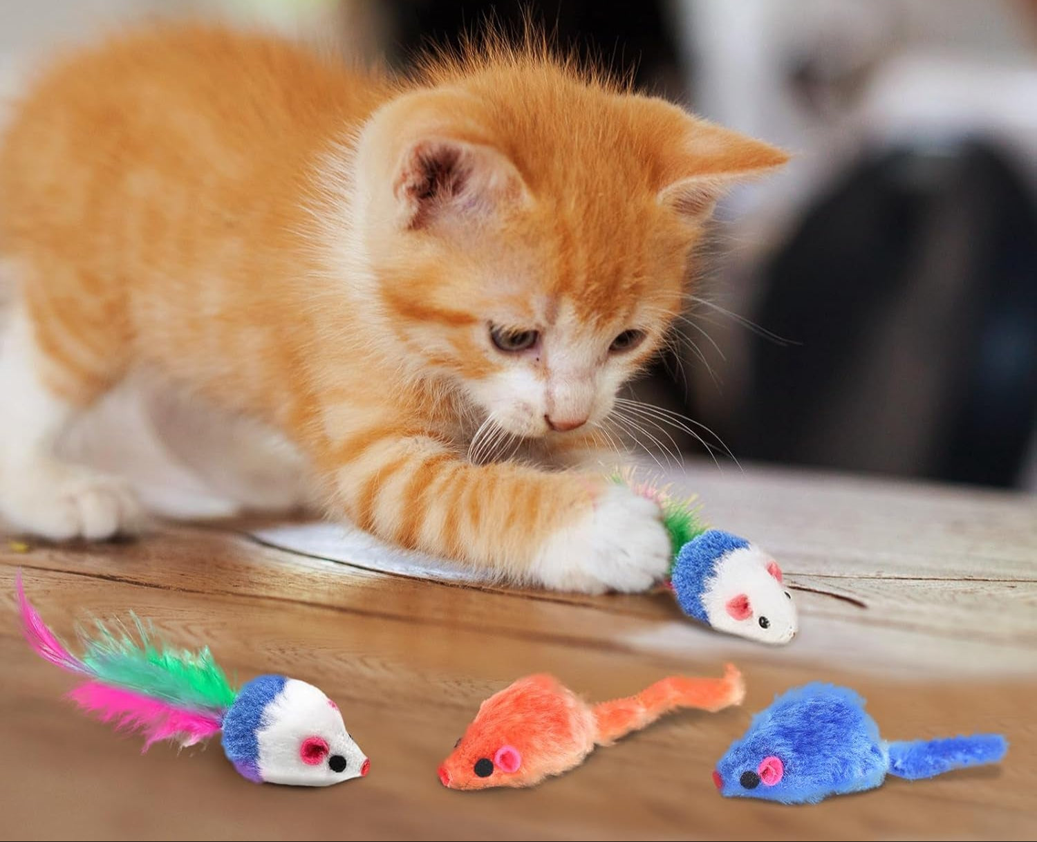25-Piece Cat Toys Kit with Rainbow Tunnel - Interactive Cat Toy Bundle for Indoor Cats, Kitten Playtime Variety Set Includes Feather Teaser, Springs, Balls, Mice & Noise Toys