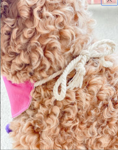 Charleston Rainbow Row (Pink) Reversible Dog Bandana with Soft Macrame Cord Tie Closure. Free Personalization Available