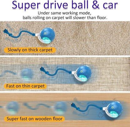 Interactive Cat Toy Ball for Indoor Cats - Fast Rolling, Chirping & Motion-Activated (Blue)