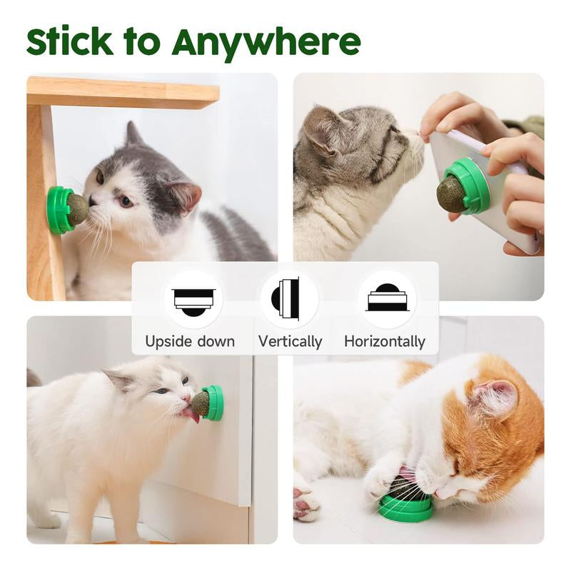 Potaroma Catnip Toys Balls 4 Pcs, Edible Kitten Silvervine Toys for Cats Lick, Healthy Kitty Teeth Cleaning Dental Chew Toys, Catnip Licking Balls for Cats