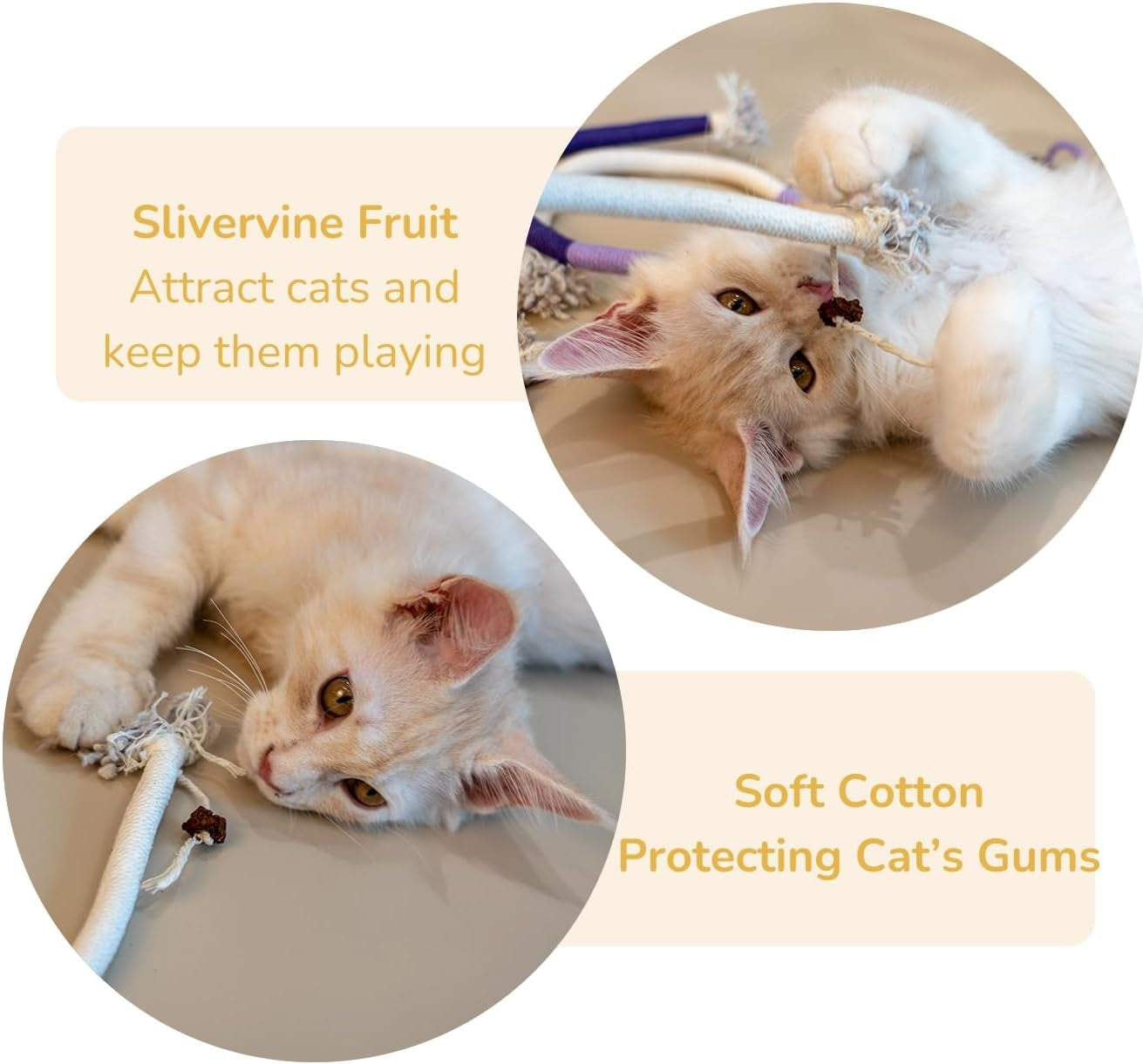 Petelligent 3-Pack Bent Cat Rope Toy, Pet Chew Toys, Interactive Tease Toys for Cats and Kittens, Bite-Proof Playthings, Cotton Rope Kitten Toys for Dental Care and Stress Relief, Pet Supplies