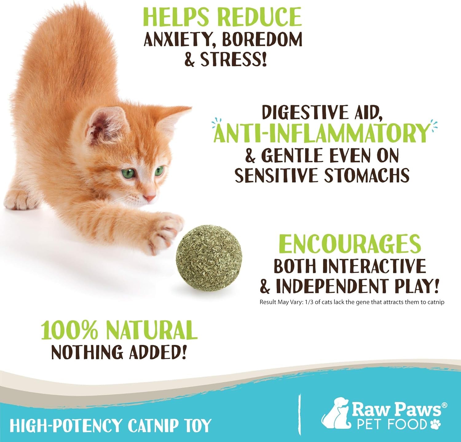 Catnip Balls for Cats, (6-Count) - Interactive Cat Toy for Indoor Cats - Cat Nip Licking Balls