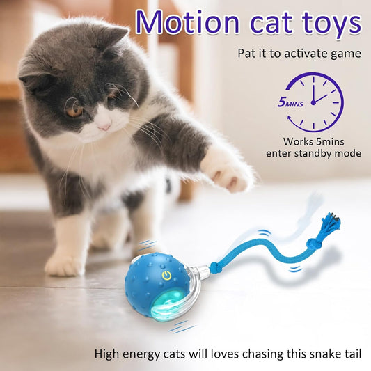 Interactive Cat Toy Ball for Indoor Cats - Fast Rolling, Chirping & Motion-Activated (Blue)