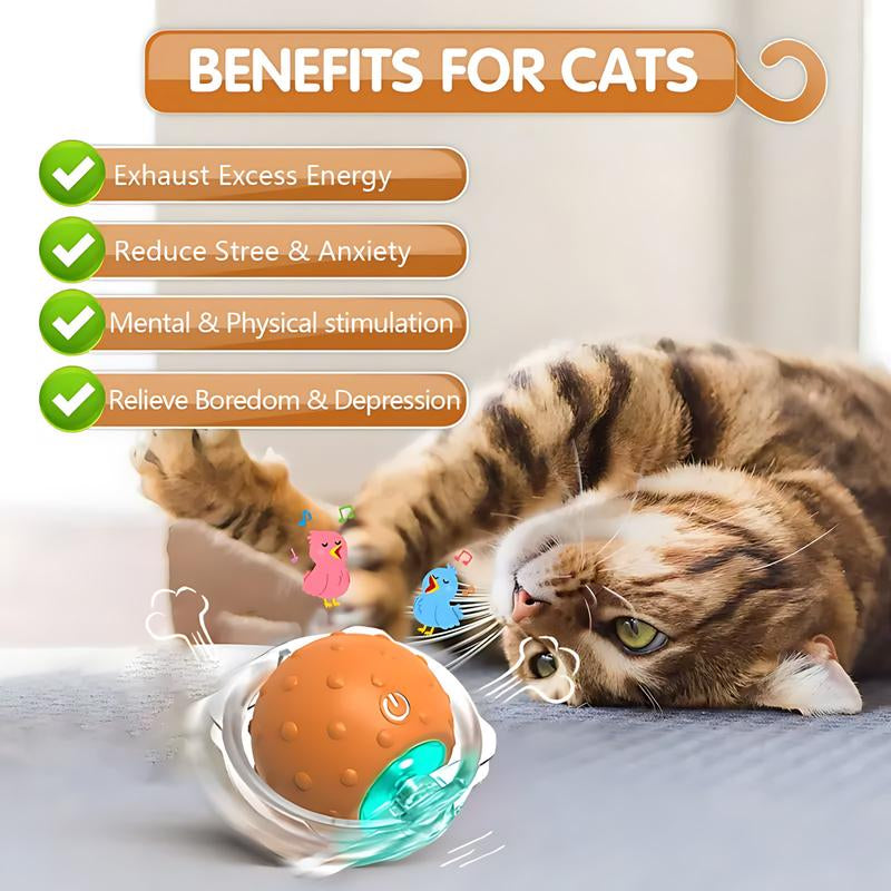 Txfny Interactive Cat Toys for Indoor Cats, Electric Cat Mouse Toy, Automatic Kitten Toys for Bored Indoor Adult Cats, Motion Activated, Fast Rolling on Carpet, USB Rechargeable