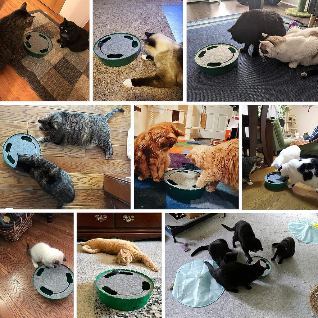 Interactive Electronic Cat Toy with Running Mouse - Automatic Teaser for Indoor Cats, Engaging Hide and Seek Play for Cats and Kittens, Green