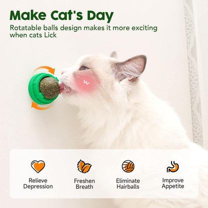 Potaroma Catnip Toys Balls 4 Pcs, Edible Kitten Silvervine Toys for Cats Lick, Healthy Kitty Teeth Cleaning Dental Chew Toys, Catnip Licking Balls for Cats