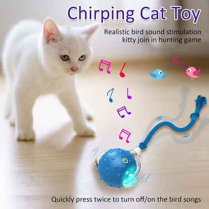 Interactive Cat Toy Ball for Indoor Cats - Fast Rolling, Chirping & Motion-Activated (Blue)