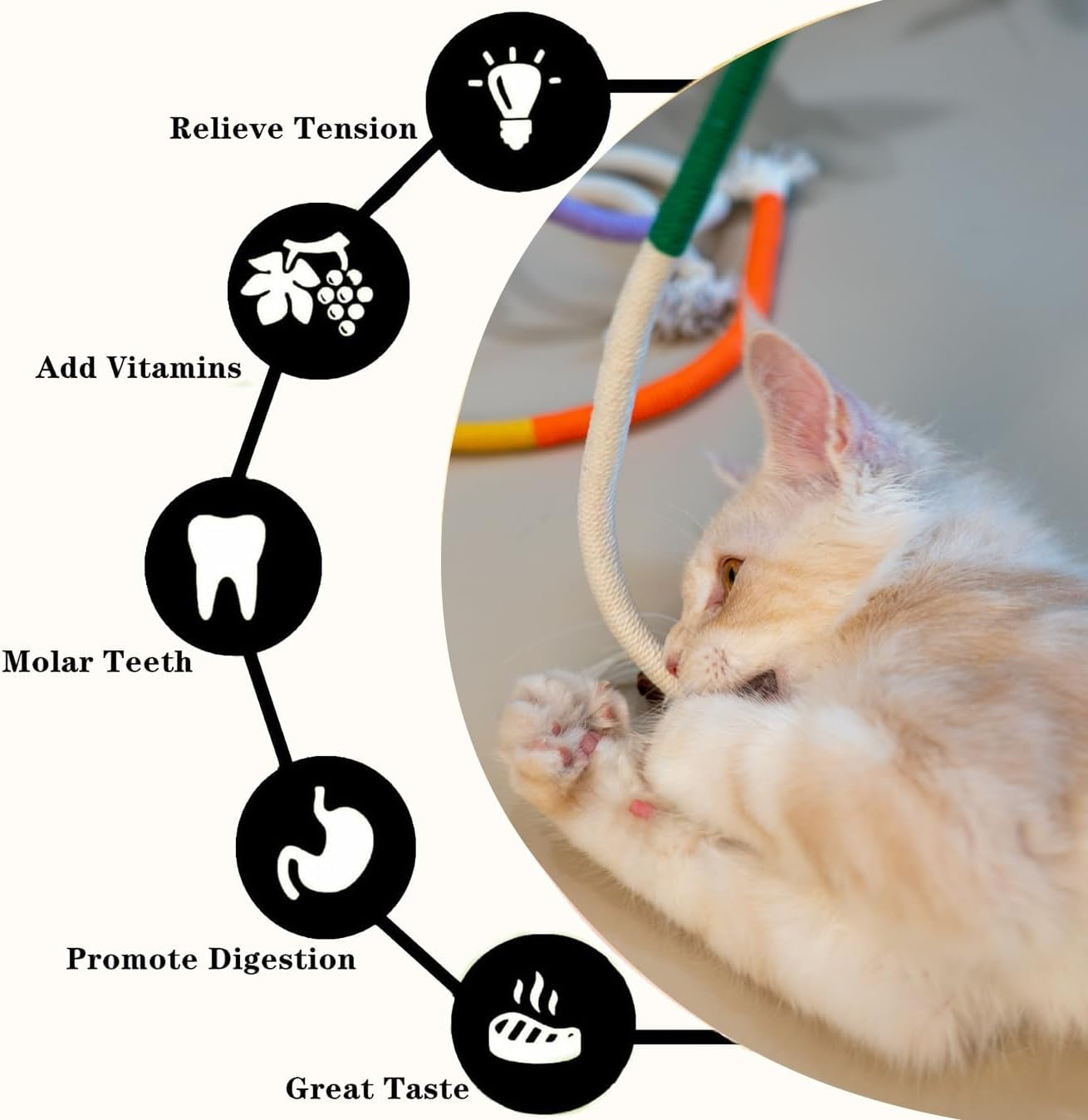 Petelligent 3-Pack Bent Cat Rope Toy, Pet Chew Toys, Interactive Tease Toys for Cats and Kittens, Bite-Proof Playthings, Cotton Rope Kitten Toys for Dental Care and Stress Relief, Pet Supplies