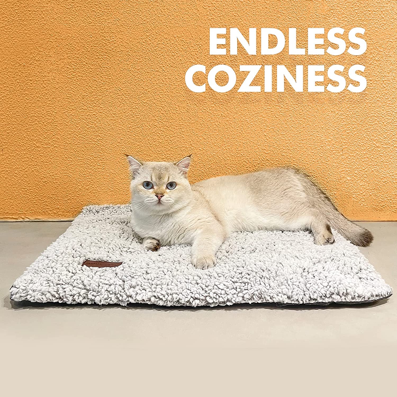 Self Warming Cat Bed Self Heating Cat Dog Mat 24 X 18 Inch Extra Warm Thermal Pet Pad for Indoor Outdoor Pets with Removable Cover Non-Slip Bottom Washable Light Grey Non Electric