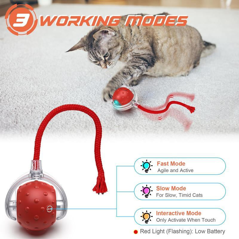 Interactive Rolling Cat Toys Ball for Indoor Cats Chirping & Motion Activate Cat Toys Pet Smart Interactive Electric Automatic Exercise Toy Wand