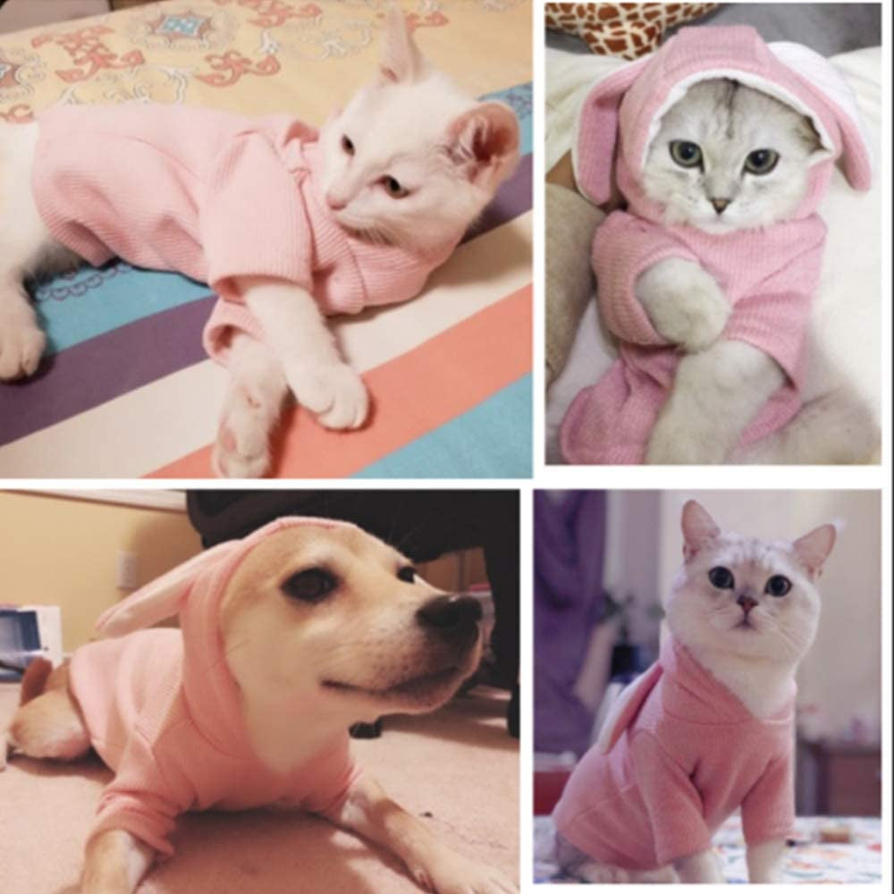 ANIAC Dog Hoodies Sweatshirt with Bunny Ears Spring Puppy Clothes for Small Dog Girl Boy Soft Doggy Sweater Cat Apparel Pet Clothing for Kitten Pomeranian Chihuahua (Small, Pink)